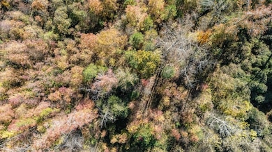 13562 Smithford Rd, Hickory Grove, SC 29717 - photo 2