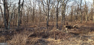 265 S Branch Mountain Rd, Moorefield, WV 26836 - photo 6