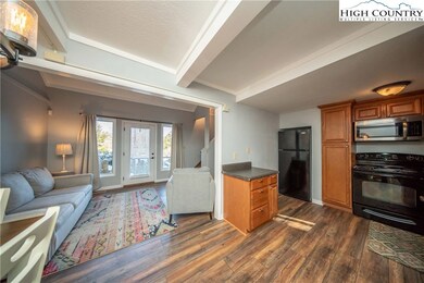 196 Trout Pond Ln unit 4, Banner Elk, NC 28604 - photo 5