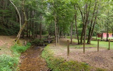 389 Ross Creek Rd, Ellijay, GA 30540 - photo 6