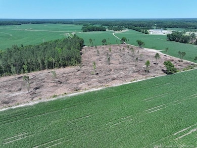 TBD Nc Hwy 71 Hwy, Red Springs, NC 28377 - photo 4