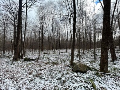 0 Wheelock Way unit PWBPW240052, Honesdale, PA 18431 - photo 6