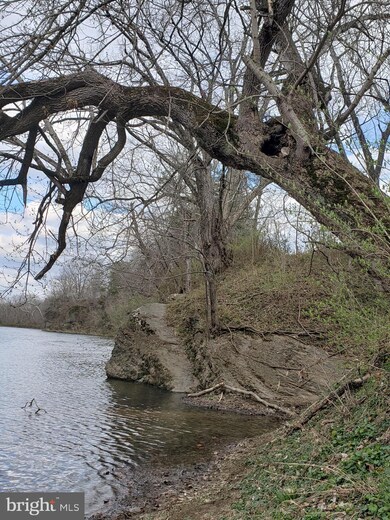 315 River Lakes Dr, Strasburg, VA 22657 - photo 2