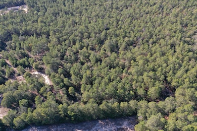 DJI_0366