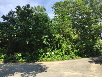 01 Four Way, Vineyard Haven, MA 02568 - photo 2