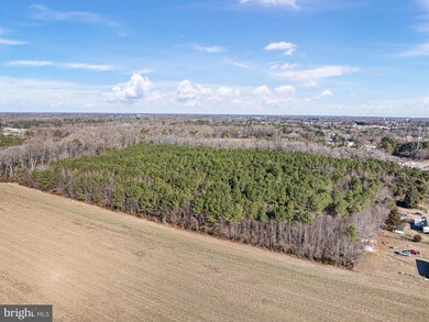 7058 Shawnee Rd, Milford, DE 19963 - photo 4