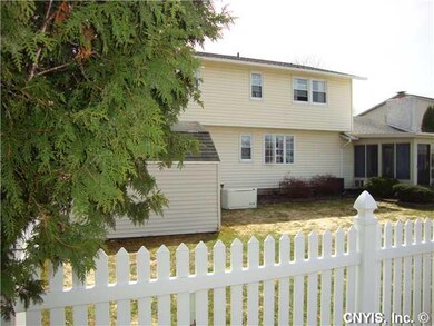 Backyard. Fenced back yard, extra large shed and a