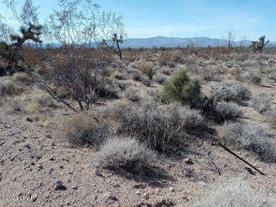 Parcel 439 S Tom Mix Rd, Yucca, AZ 86438 - photo 4