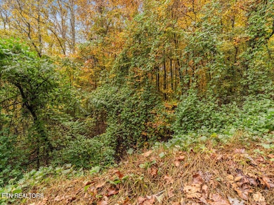 0 Mountie Ln, Knoxville, TN 37924 - photo 6