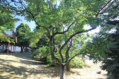 7912 49th Place W, Mukilteo, WA 98275 - photo 6