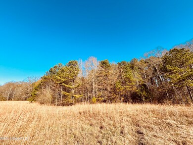 0 Mississippi 12, Durant, MS 39063 - photo 6