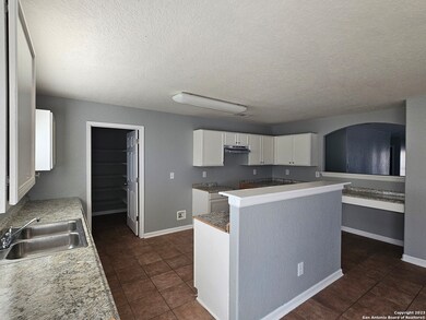 3838 Pavo Viejo, San Antonio, TX 78223 - photo 7