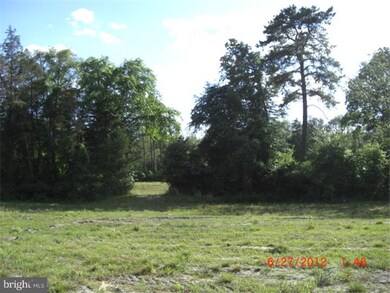 440 Swedesboro Rd, Franklinville, NJ 08322 - photo 2