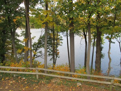 4-Back Yard c