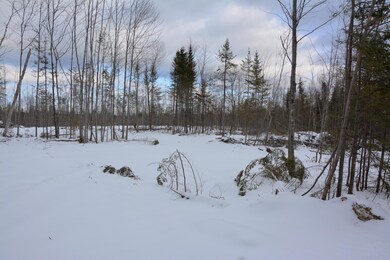 _DSC0004