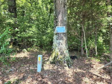 8626 Lamar Rd, Olive Branch, TN 38654 - photo 2