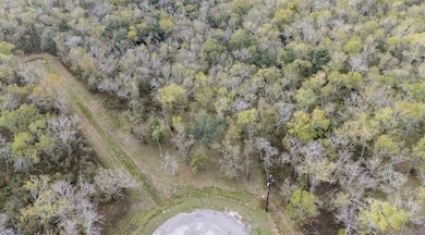 33726 Blue Marlin Dr, Richwood, TX 77515 - photo 3