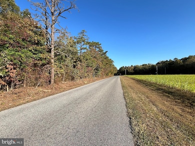 0 Main Ave unit NJAC2014732, Richland, NJ 08360 - photo 7