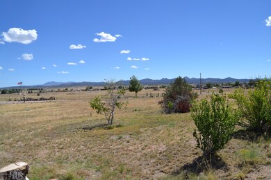 25275 N Naples St, Paulden, AZ 86334 - photo 3
