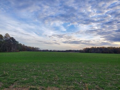 View to Farm