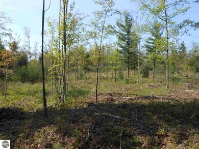 0 Powerline Rd unit 1847246, Whittemore, MI 48770 - photo 6