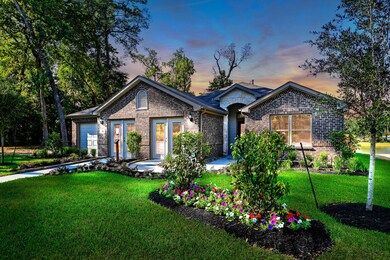 179 Courageous Side Way, Magnolia, TX 77354 - photo 3