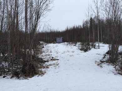 13161 W Maplewood Dr, Big Lake, AK 99623 - photo 3