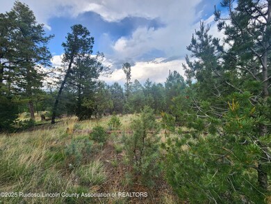 Lot 2A Snow Park Rd, Alto, NM 88312 - photo 7