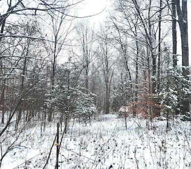 TBD Dogwood Acres Dr, Spice Valley Township, IN 47470 - photo 2