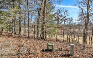 161 Old Toccoa Farm, Mineral Bluff, GA 30559 - photo 6