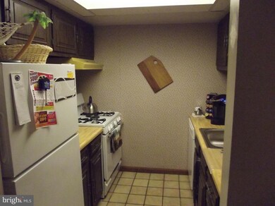 117 Lancaster Estate, Mount Joy, PA 17552 - photo 4