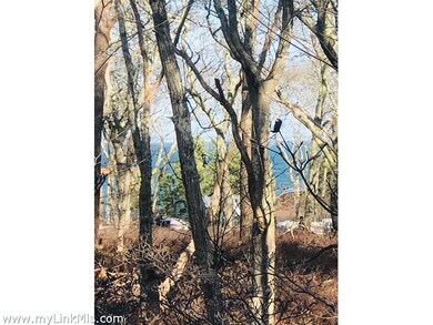 169 Cuttyhunk Ave, Vineyard Haven, MA 02568 - photo 6