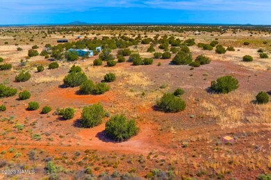 4653 US HWY 180 Photo 29