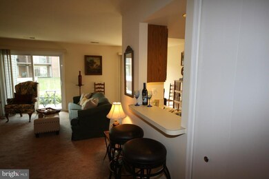 12945 Grays Pointe Rd unit A, Fairfax, VA 22033 - photo 6