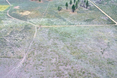 Ruffled Grouse Ln, Chiloquin, OR 97624 - photo 3