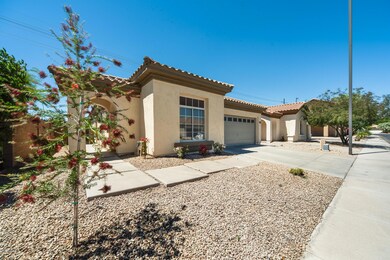 520 N Eucalyptus Place, Chandler, AZ 85225 - photo 6