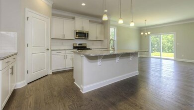 Spacious Kitchen with Large corner pantry.  All photos are of a similar home.