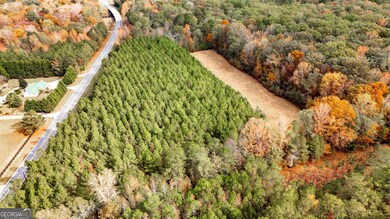 0 Morgan Mill Rd unit 25520027, Senoia, GA 30276 - photo 5