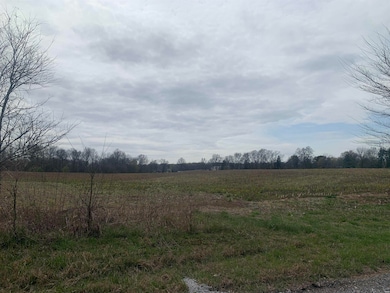 00 Works Rd, Crutchfield, KY 42041 - photo 4