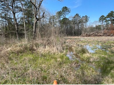 12700 Lewis Rd, Cleveland, TX 77328 - photo 3