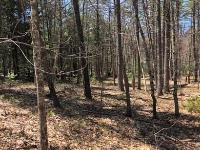 279 Overlook Cir, Lake Arrowhead, ME 04048 - photo 2