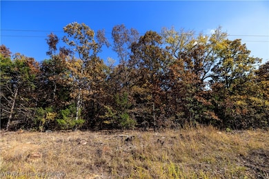 TBD S 4497 Rd, Vian, OK 74962 - photo 2