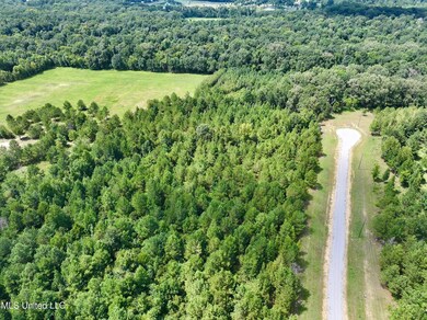 Stout Farm Drive Lot: 64, Madison, MS 39110 - photo 4