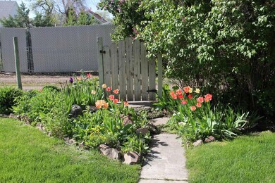 Backyard View 4