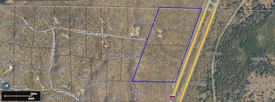 2231 Northerly View Trail, Vanderbilt, MI 49795 - photo 4