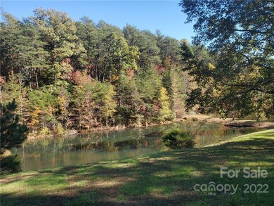 435 Misery Ridge Trail, Mill Spring, NC 28756 - photo 4