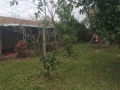 Beautiful and delicious fruit trees!