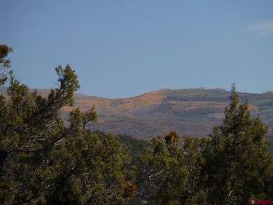 0 Squirrel Rock Rd unit 754418, Cedaredge, CO 81413 - photo 3
