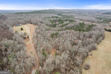 34.61 ACRES Walker Rd, Meansville, GA 30256 - photo 5