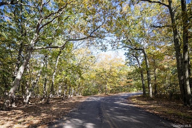 11195 N Bayview Rd, Southold, NY 11971 - photo 6